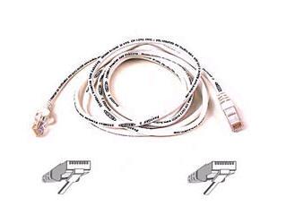 Belkin International Inc Patch Cable - Unshielded Twisted Pair (utp) - Male Left Gender - Male Right Gend