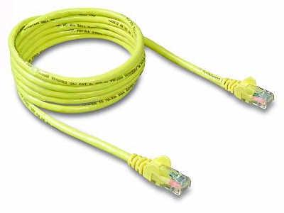 Belkin International Inc Patch Cable - Unshielded Twisted Pair (utp) - Male Left Gender - Male Right Gend