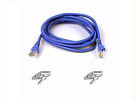 Belkin International Inc Patch Cable - Unshielded Twisted Pair (utp) - Male Left Gender - Male Right Gend