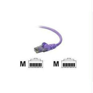 Belkin International Inc Patch Cable - Unshielded Twisted Pair (utp) - Male Left Gender - Male Right Gend
