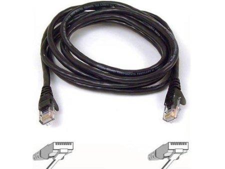 Belkin International Inc Patch Cable - Unshielded Twisted Pair (utp) - Male Left Gender - Male Right Gend