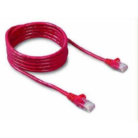 Belkin International Inc Patch Cable - Unshielded Twisted Pair (utp) - Male Left Gender - Male Right Gend