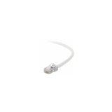 Belkin International Inc Patch Cable - Unshielded Twisted Pair (utp) - Male Left Gender - Male Right Gend