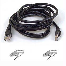 Belkin International Inc Patch Cable - Unshielded Twisted Pair (utp) - Male Left Gender - Male Right Gend