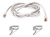 Belkin International Inc Patch Cable - Unshielded Twisted Pair (utp) - Male Left Gender - Male Right Gend