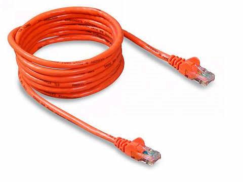 Belkin International Inc Patch Cable - Unshielded Twisted Pair (utp) - Male Left Gender - Male Right Gend