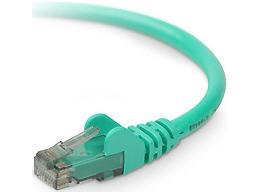 Belkin International Inc Patch Cable - Unshielded Twisted Pair (utp) - Male Left Gender - Male Right Gend