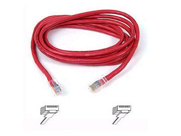 Belkin International Inc Patch Cable - Unshielded Twisted Pair (utp) - Male Left Gender - Male Right Gend