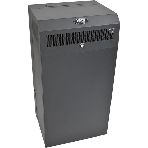 Tripp Lite 12U Wallmount Low Profile Vertical Rack Enclosure Server Cabinet - SystemsDirect.com
