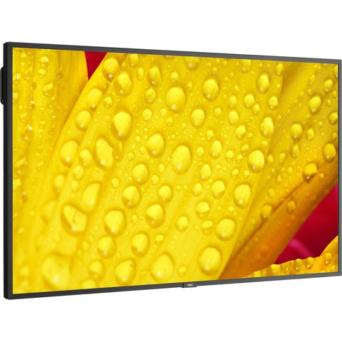 NEC Display 43" Ultra High Definition Commercial Display