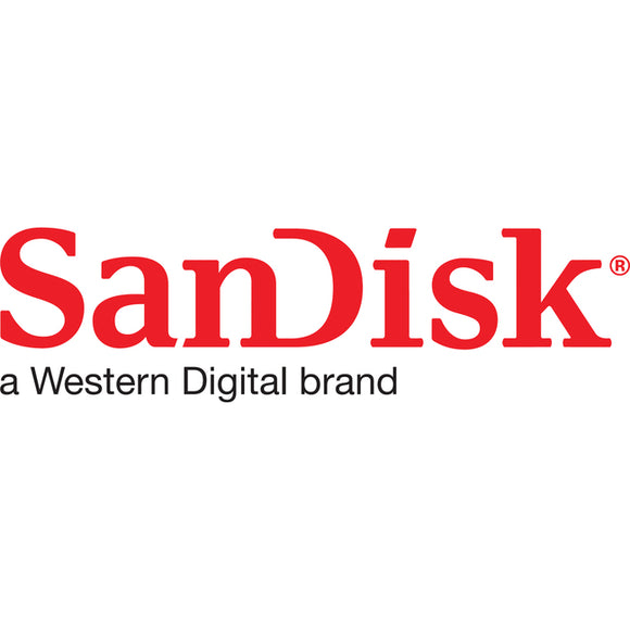SanDisk Extreme PRO 1TB USB 3.2 (Gen 1) Type A Flash Drive