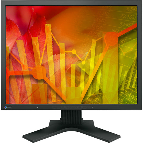 EIZO FlexScan S2133 21.3" UXGA LED LCD Monitor - 4:3 - Black