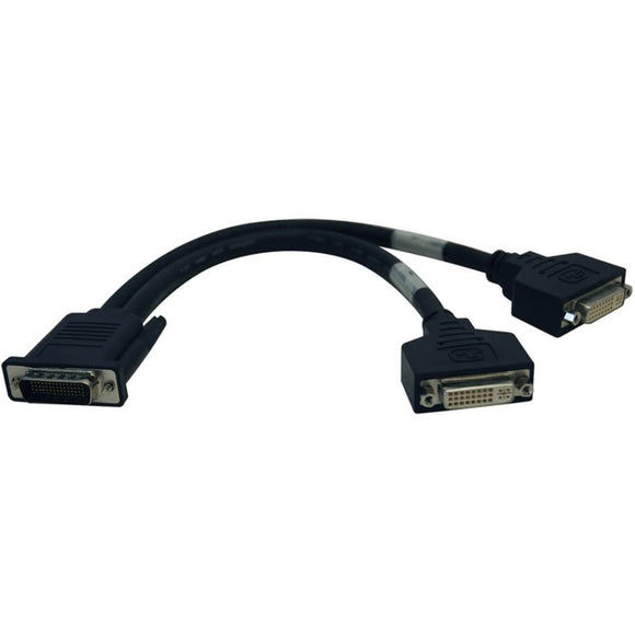 Tripp Lite DMS-59 to Dual DVI Splitter Y Cable (M to 2x DVI-I F) 1 ft. (0.31 m)