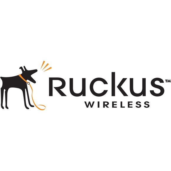 Ruckus Wireless PoE Injector