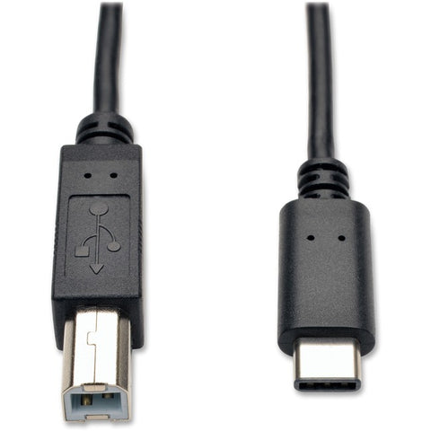 Tripp Lite 6ft USB 2.0 Hi-Speed Cable B Male to USB Type-C USB-C Male 6'