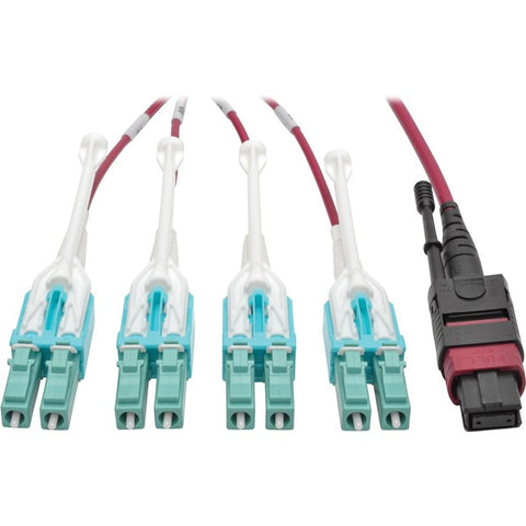 Tripp Lite 40G MTP/MPO to 4xLC Fan-Out OM4 Plenum-Rated Fiber Optic Cable, 40GBASE-SR4, Push/Pull Tabs, Magenta, 2 m