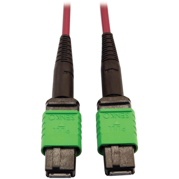 Tripp Lite Multimode Fiber Optic Cable 400G OM4 Plenum MTP/MPO-APC F/F 1M