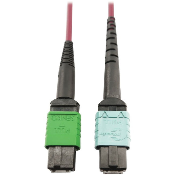 Tripp Lite Multimode Fiber Optic Cable 400G MTP/MPO-APC to 24F MTP/MPO-UPC F/F 1M