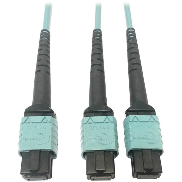 Tripp Lite Multimode Fiber Optic Cable 24F MTP/MPO-PC to x2 12F MTP/MPO-PC F/F 1M