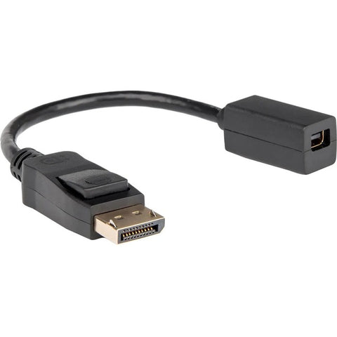 Rocstor Premium DisplayPort to Mini DisplayPort Adapter