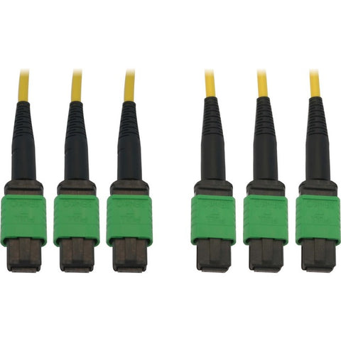Tripp Lite Fiber Optic Cable 40/100G SMF 9/125 3x8F MTP/MPO-APC OS2 F/F 15M
