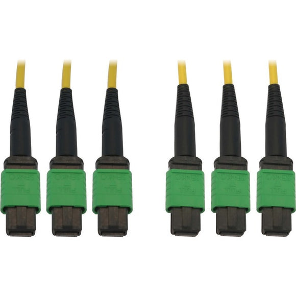 Tripp Lite Fiber Optic Cable 40/100G SMF 9/125 3x8F MTP/MPO-APC OS2 F/F 23M