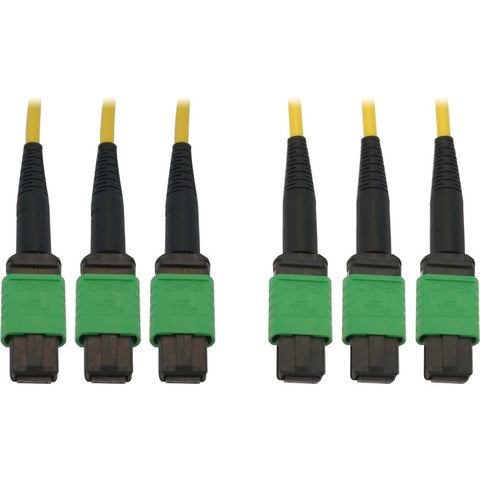 Tripp Lite Fiber Optic Cable 40/100G SMF 9/125 3x8F MTP/MPO-APC OS2 F/F 45M