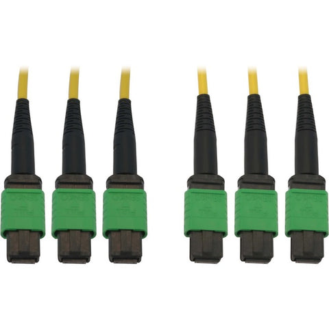 Tripp Lite Fiber Optic Cable 40/100G SMF 9/125 3x8F MTP/MPO-APC OS2 F/F 61M